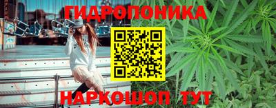 бошки Ставрополь